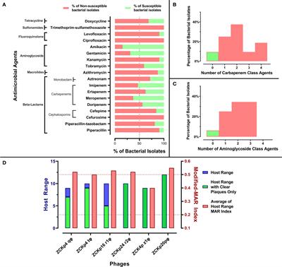 Characterization and comprehensive genome analysis of novel bacteriophage, vB_Kpn_ZCKp20p, with lytic and anti-biofilm potential against clinical multidrug-resistant Klebsiella pneumoniae